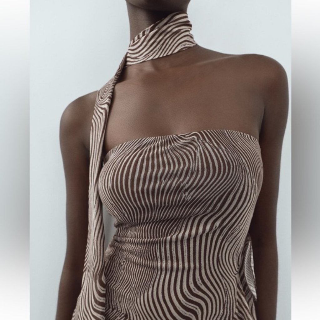 Zara Zebra  5039279